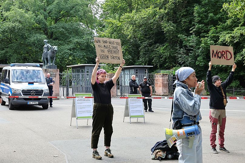 Demonstrators stand with protest signs in front of the Nürnberg Zoo, 29 July, 2025