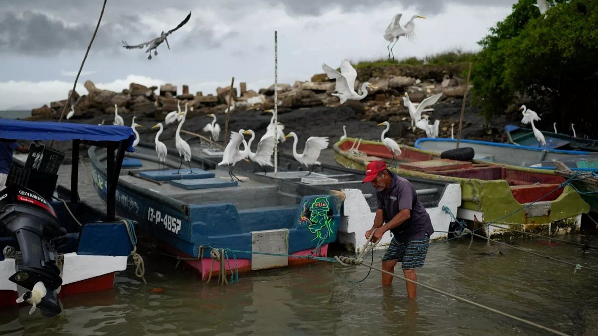Bazı Pasifik Adaları muazzam depremlerden sonra tahliyelere başlarken Japonya tsunami uyarılarını artırır