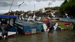 A fisherman ties his boat near the shore in Panama as a precaution due to a tsunami warning, 30 July, 2025