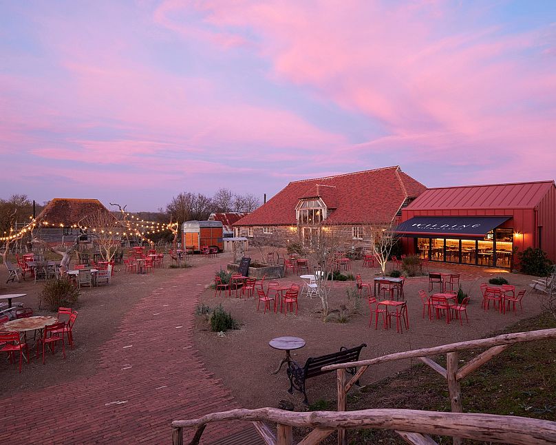 One summer evening at Knepp Wilding Kitchen and shop