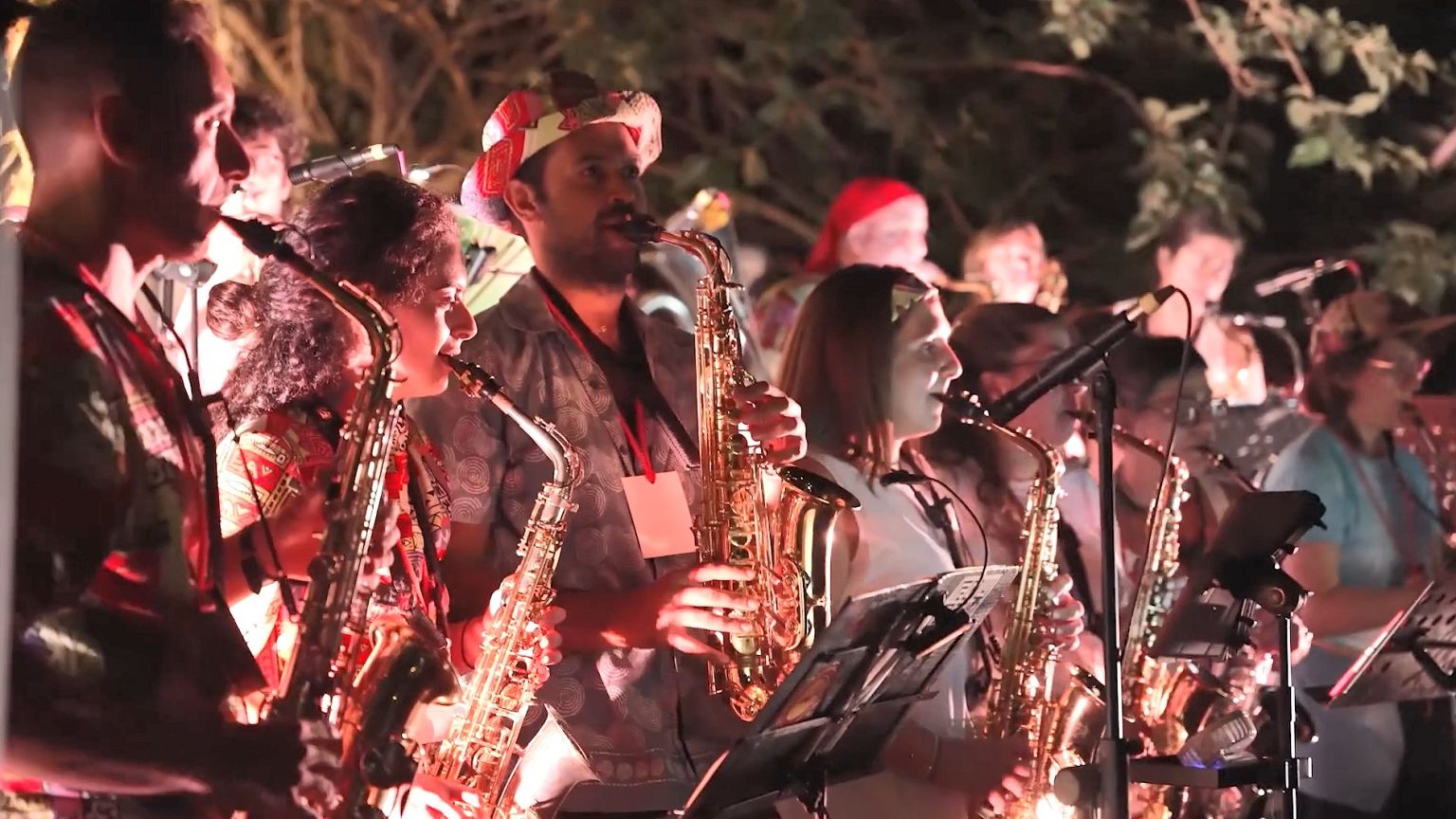 Windcraft Clarinet Lyre - Centre Fit In Nickel Plate - Foto 7