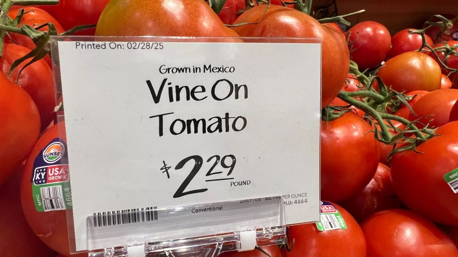Tomatoes imported from Mexico are for sale in a supermarket in Miami, 5 March, 2025