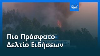 Ειδήσεις | 1 Αυγούστου 2025 - Μεσημβρινό δελτίο