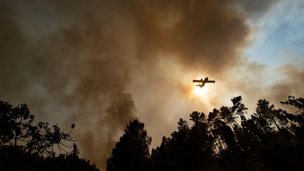 Portugal on High Alert as Scorching Heatwave Sparks Wildfire Fears