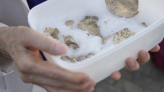 Hiroshima : 80 ans après, la quête des restes de victimes continue