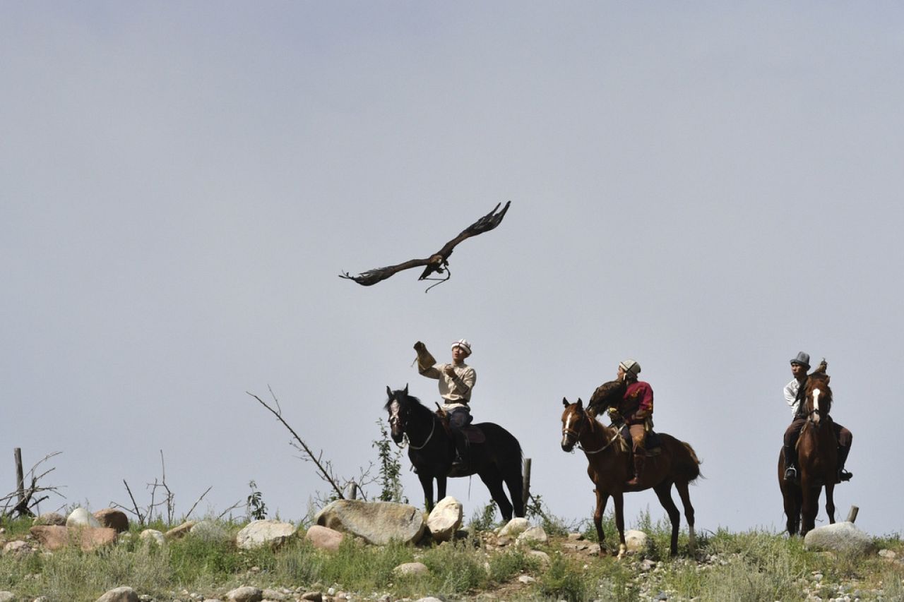 The festival takes its name from a traditional form of hunting using eagles.