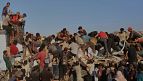 Flamingos return to Lake Van during seasonal migration