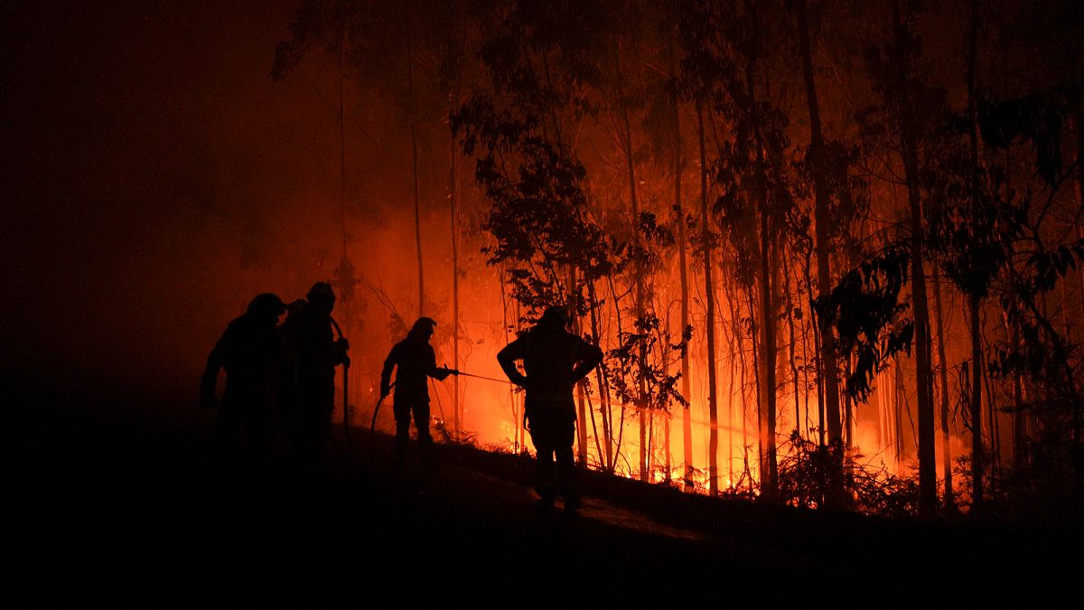 Klimakrise-und-Geldanlage-Lohnen-sich-Katastrophenanleihen-f-rs-Portfolio-