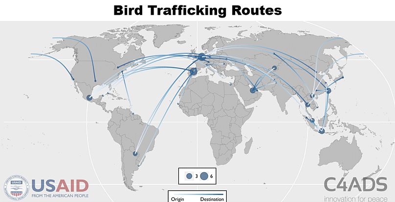 Bird trafficking routes 2009-2017. The Arabian Gulf Countries are hotspots for animal trafficking for their convenient geographic location and frequent flights. 