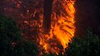 One dead as France battles largest wildfire of this summer in Aude