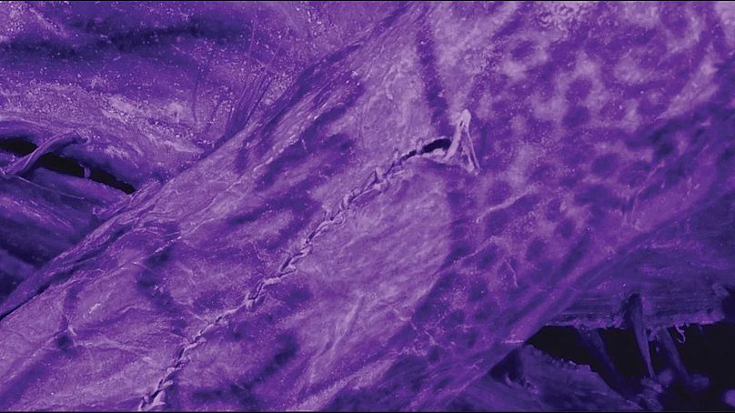 Infrared light reveals an ancient tattoo and a postmortem suture