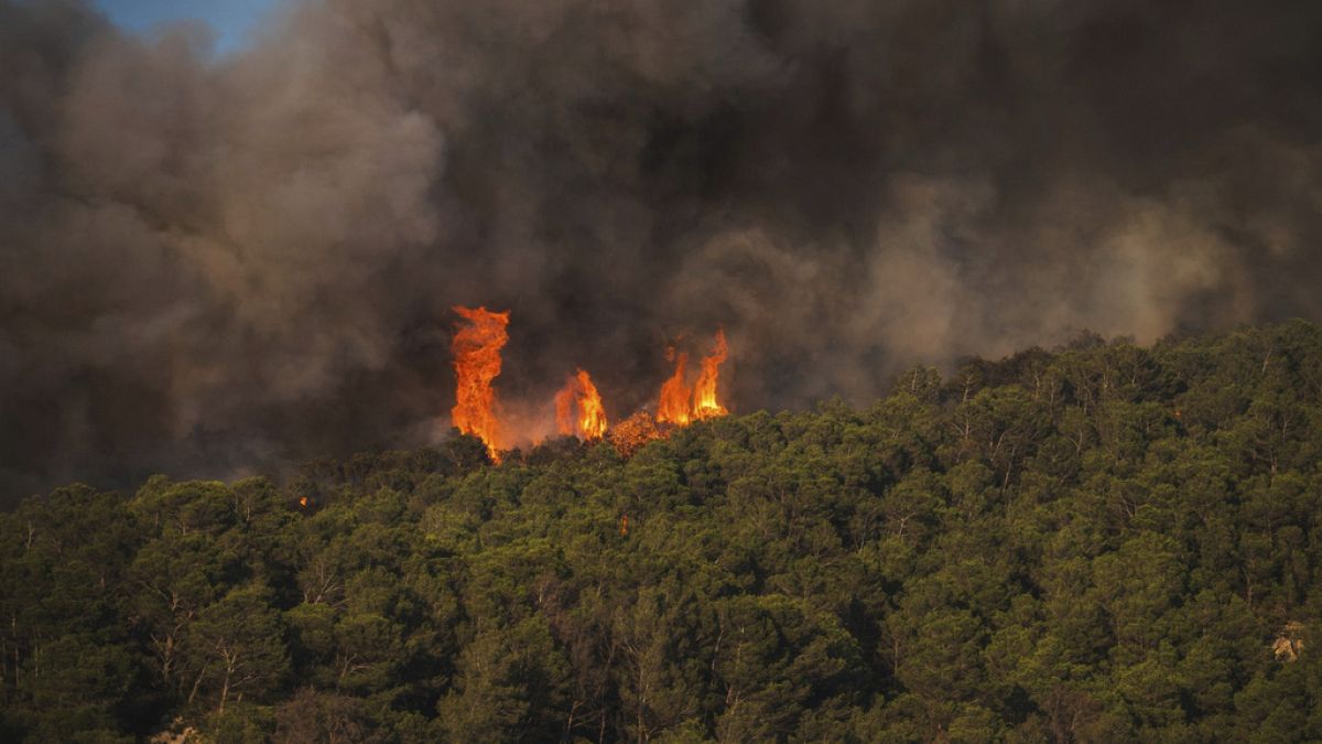 Aude : images apocalyptiques du "plus grand incendie" en France depuis des décennies