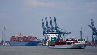 Porte-conteneurs dans le port d'Anvers, le 20 juin 2024. 