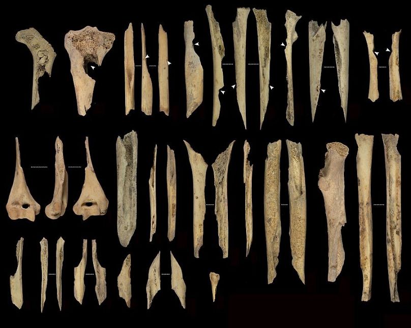 Bones from cannibalised limbs
