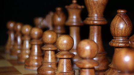 Duda defeats world champion Gukesh in Katowice blitz clash