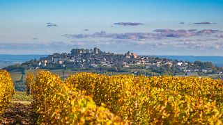 Regiões como o Loire dão a França uma diversidade de destinos a visitar.