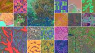 Google’s artificial intelligence (AI) unit, DeepMind, recently announced an AI model called AlphaEarth Foundations.