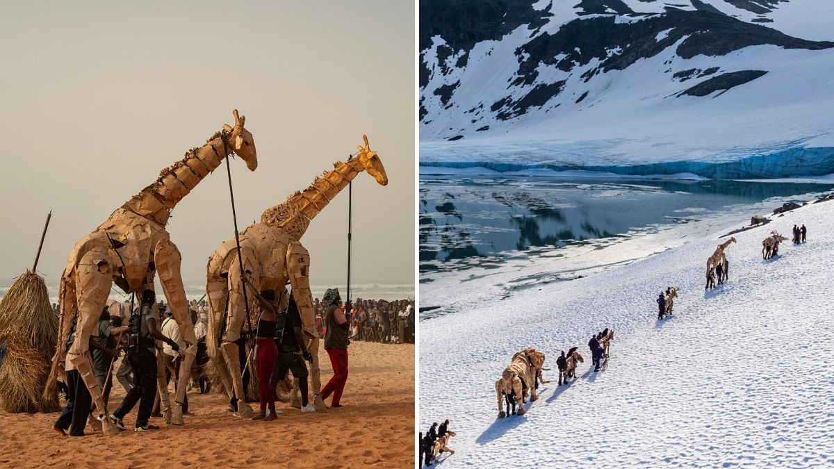 The Herds: Life-sized animal puppets complete epic 20,000km climate crisis journey