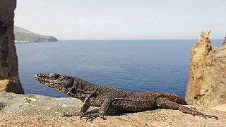 Ιταλία