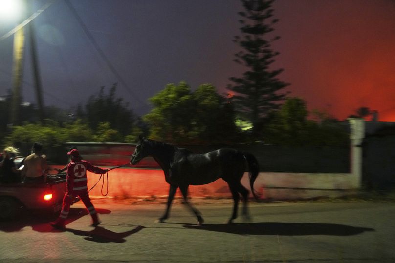 Εθελοντής διασώζει ένα άλογο στην περιοχή Θυμάρι (8/8/2025)