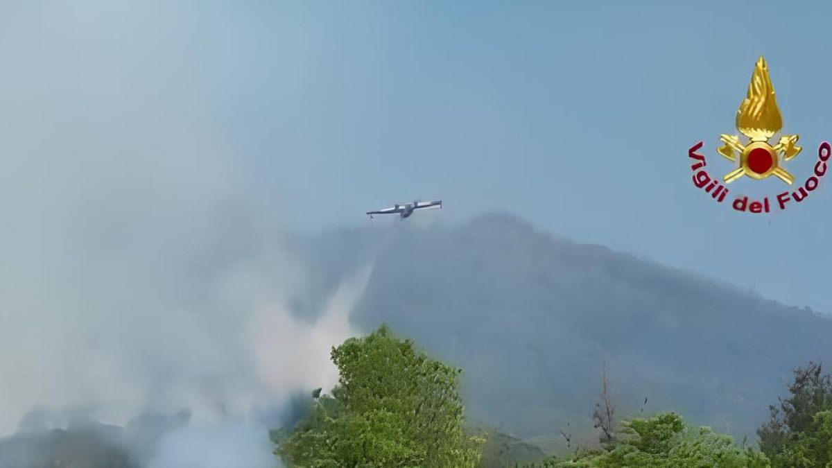 Ιταλία: Ορατή από το διάστημα η φωτιά στο εθνικό πάρκο του Βεζούβιου Ιταλία: Ορατή από το διάστημα η φωτιά στο εθνικό πάρκο του Βεζούβιου
