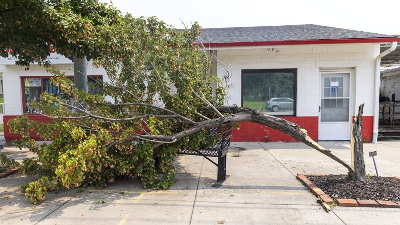 Uma árvore foi arrancada e está caída sobre um banco na 115 N 14th St, em Fort Calhoun, Nebraska, no sábado, 9 de agosto de 2025
