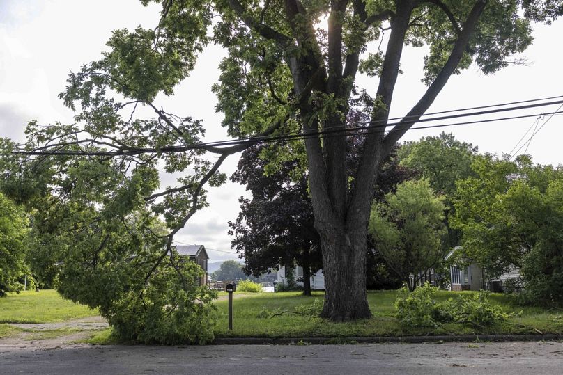 A tree limb is stuck in power lines on Bainbridge Street on French Island after a storm with extreme winds in La Crosse, Wis., Tuesday, July 29, 2025. (Saskia Hatvany/La Cross