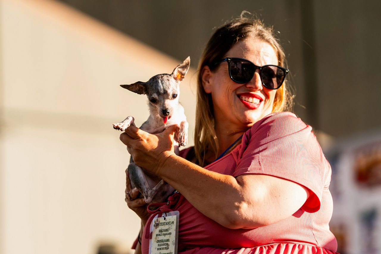 A dog named Merle Haggard competes in the World's Ugliest Dog Contest