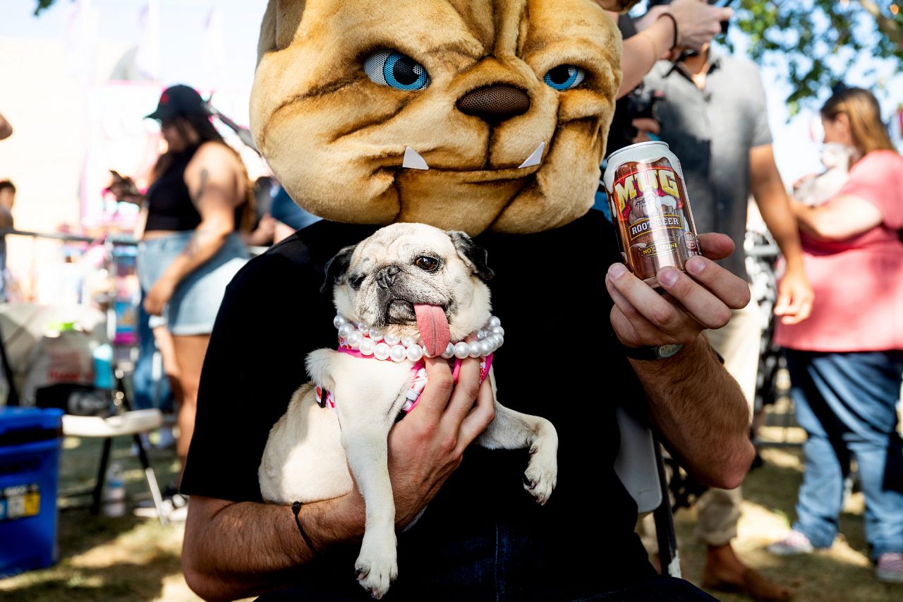 Jinny Lu, a 5-year-old pug