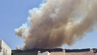 Vista del incendio muy cerca de las viviendas en Tarifa (´Cádiz), el 11 de agosto de 2025.