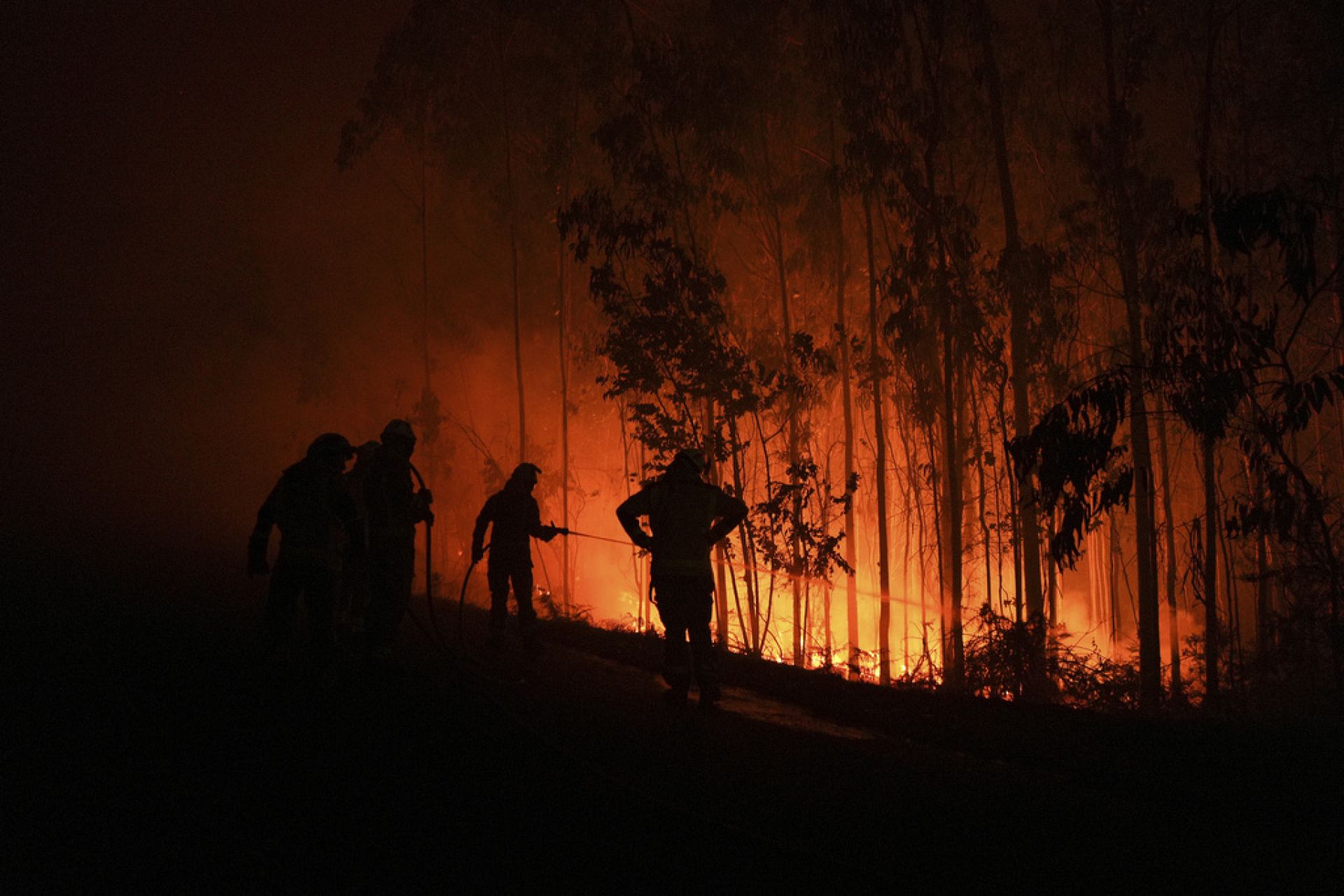 More than 2,000 people evacuated from Spanish resort of Tarifa over ...