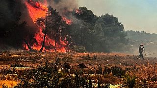 106 Πύρινα μέτωπα στην Ελλάδα σύμφωνα με την Πυροσβεστική