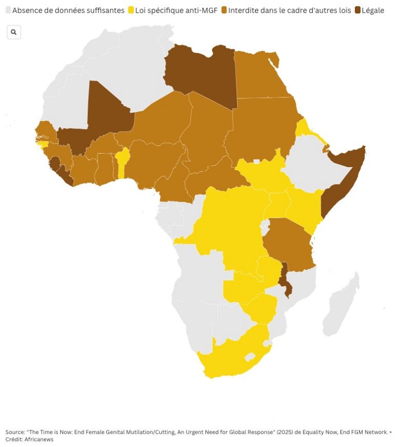 La carte montre le statut juridique actuel de la mutilation génitale féminine en Afrique, ainsi que les différentes manières sous lesquelles elle peut être interdite..