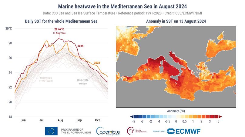 No Mediterrâneo, a temperatura média da água chegou a um recorde de 28.7°C a 13 de agosto de 2024