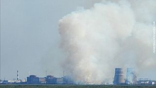 Incendio cerca de la central nuclear de Zaporizhzhia, en el sur de Ucrania, 12 de agosto de 2025.