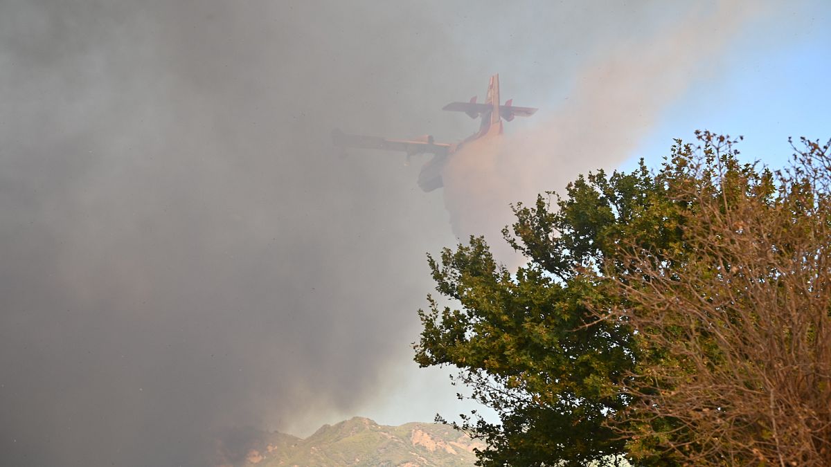 Grèce : plus de 150 incendies en 48 heures, et le pire est peut-être encore à venir