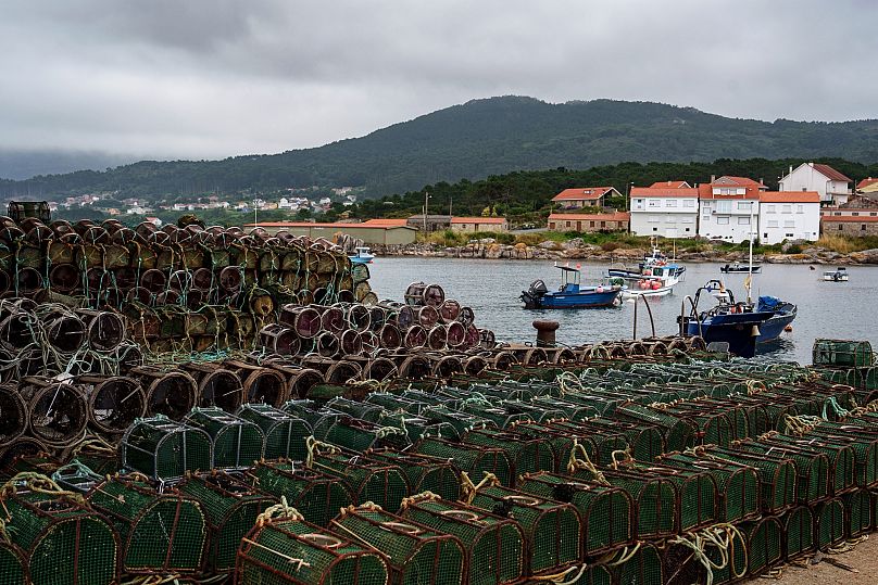 Des pièges à poulpes sont installés dans le port de Lira pendant une période de pause de pêche au poulpe inhabituellement longue
