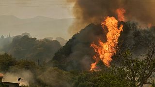 A man fights against the fire as approaching a house during a wildfire in Vounteni, on the outskirts of Patras, western Greece, Wednesday, Aug. 13, 2025. 