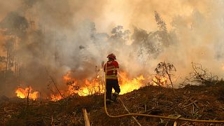Incendies au Portugal : le Maroc envoie deux avions Canadair en renfort