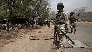 Nigeria's Air Force strikes decimate terrorists: 592 Killed, 200 vehicles destroyed in 8 months