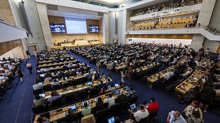 ONU : le projet de traité contre la pollution plastique vivement rejeté