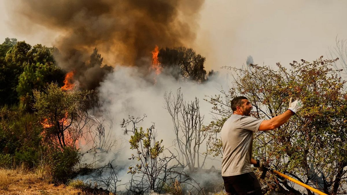 Thousands displaced in Greece, Spain and Portugal as wildfires continue to rage
