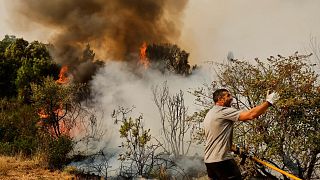 A man tries to put out a wildfire in Larouco, northwestern Spain, Wednesday, Aug. 13, 2025. 