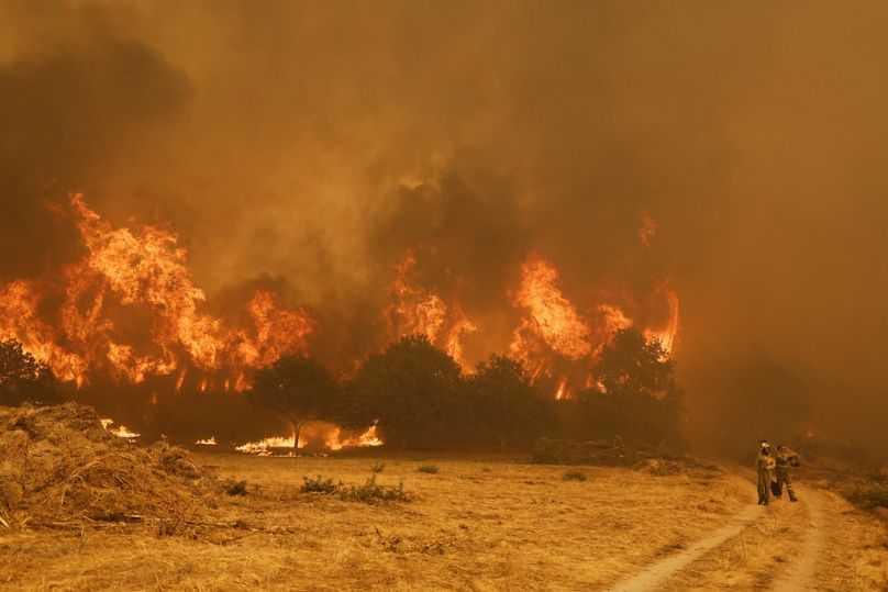 Des pompiers se tiennent devant les flammes lors d'un incendie de forêt à Santa Baia De Montes, dans le nord-ouest de l'Espagne, le jeudi 14 août 2025.