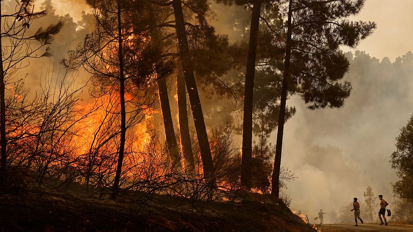 Los incendios ya han quemado 100.000 hectáreas en España este verano, 38.000 solo en León.