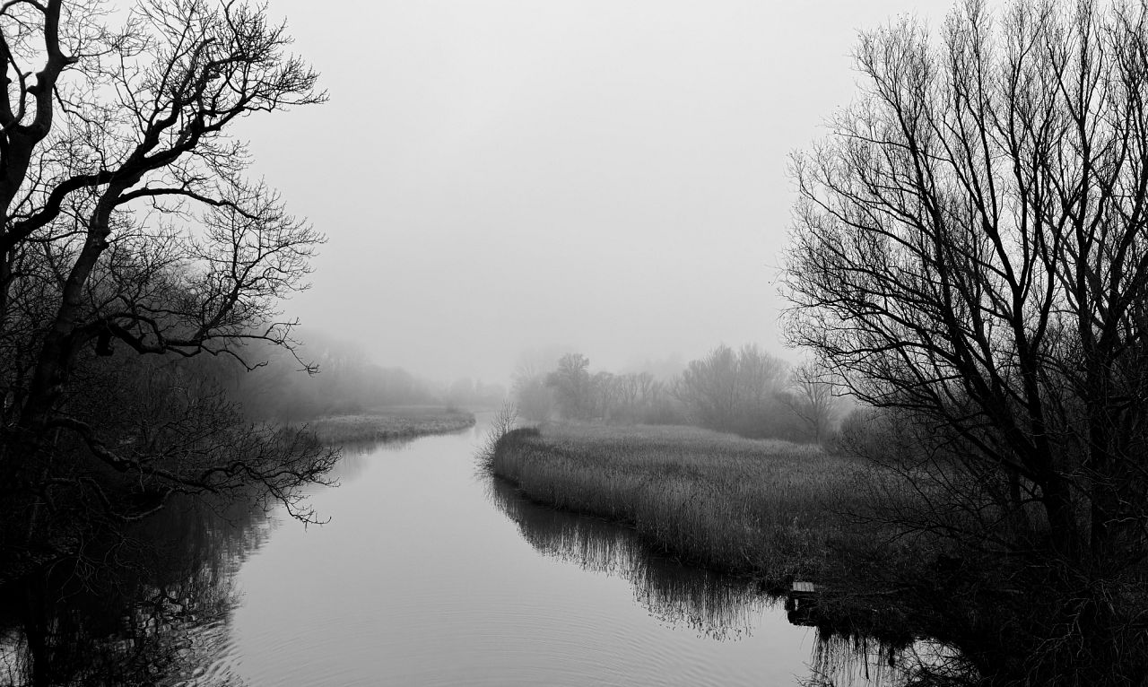 Lübeck Amazonas by Jens Peterson, Landscape (Winner) 