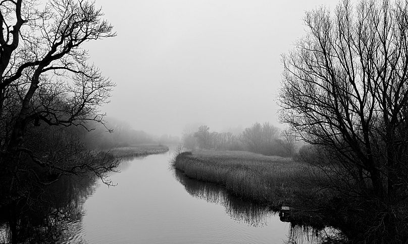 Lübeck Amazonas by Jens Peterson, Landscape (Winner) 