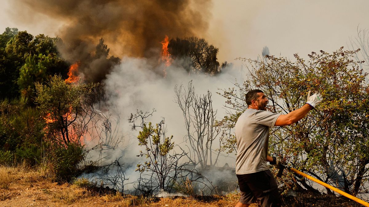 Les incendies de forêt détruisent des milliers d'hectares en Espagne