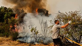 Wildfires destroy thousands of hectares in Spain