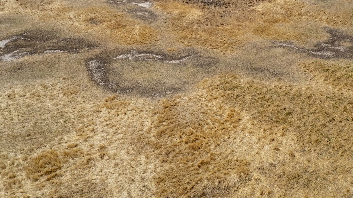 Roumanie : plusieurs régions du pays touchées par une extrême sècheresse